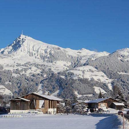 Ski-In, Ski-Out By Apartment Managers كيرشبرغ ان تيرول المظهر الخارجي الصورة