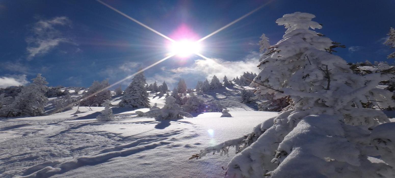 Ski-In, Ski-Out By Apartment Managers كيرشبرغ ان تيرول المظهر الخارجي الصورة